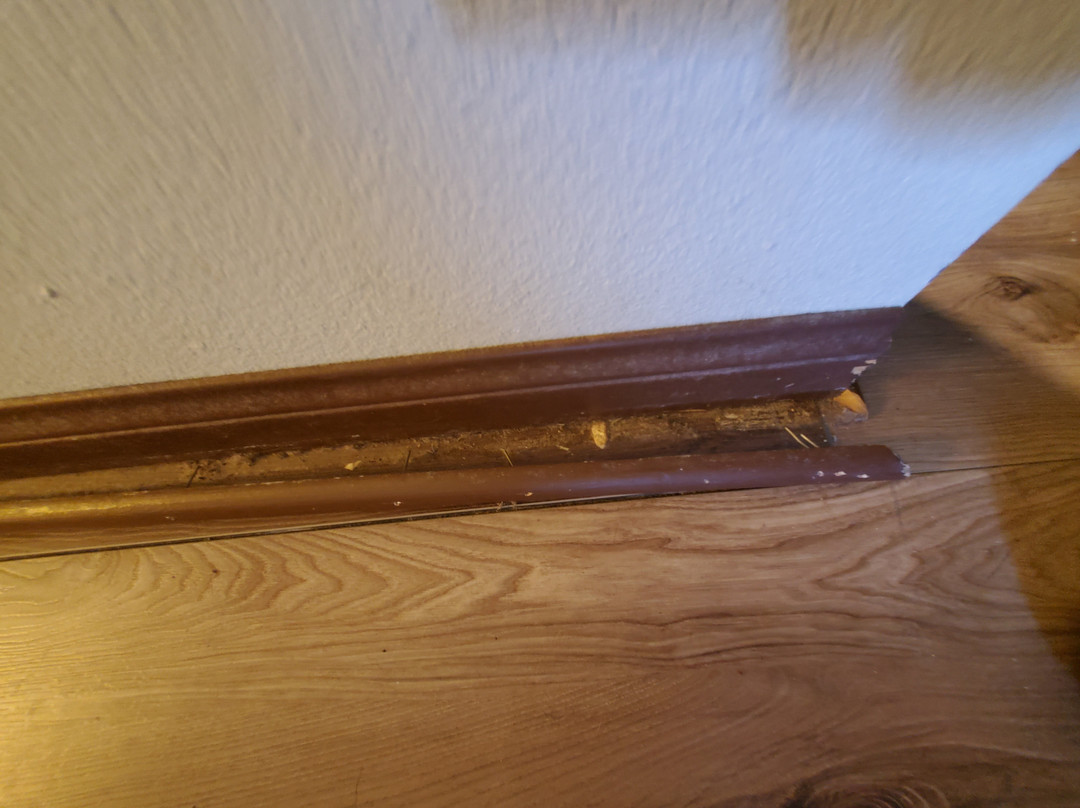 查理斯顿山度假酒店主图