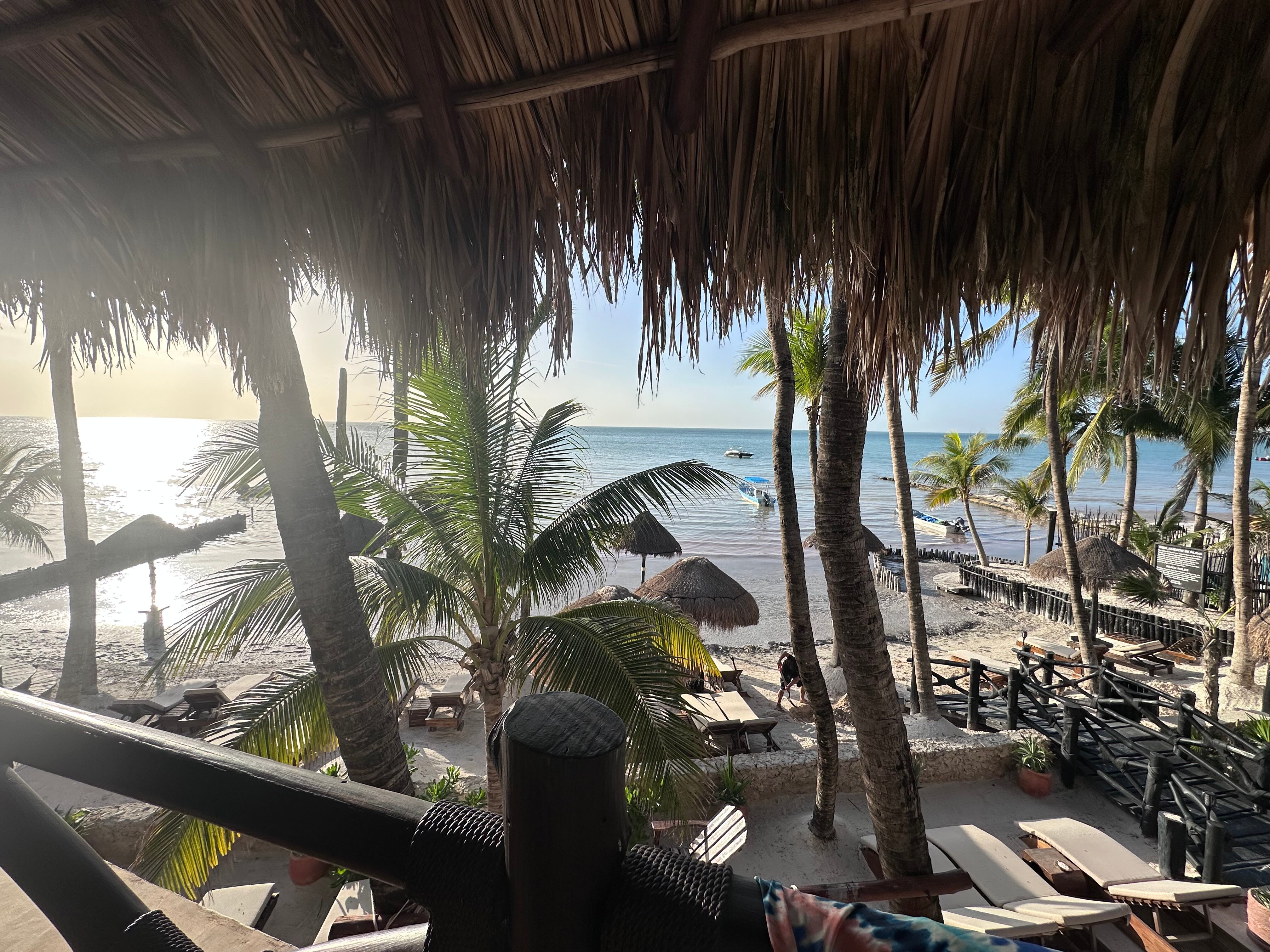 Beachfront Hotel La Palapa-酒店景观