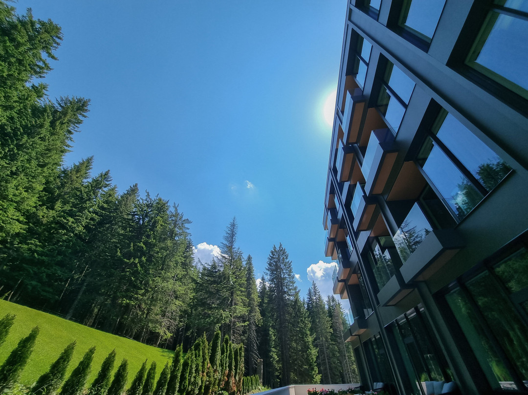 Hotel Pestera Wellness & Spa *****主图