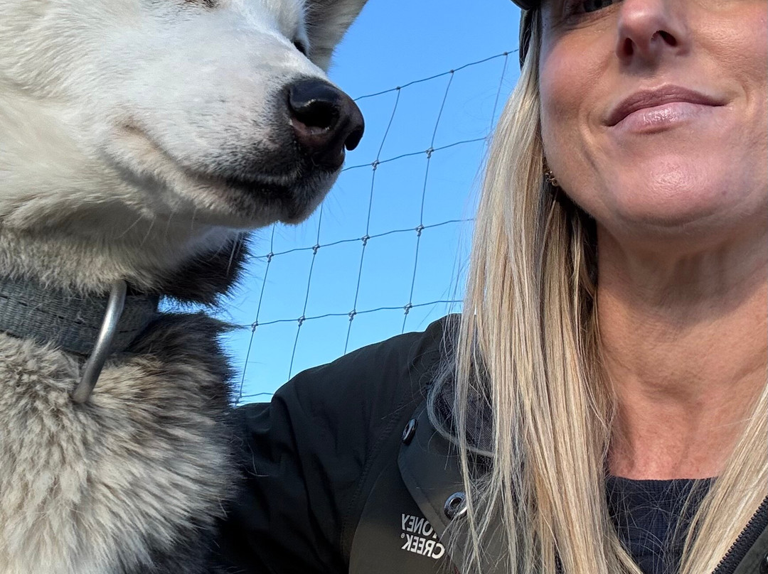 Timberline Racing Siberian Huskies-陶波必去景点