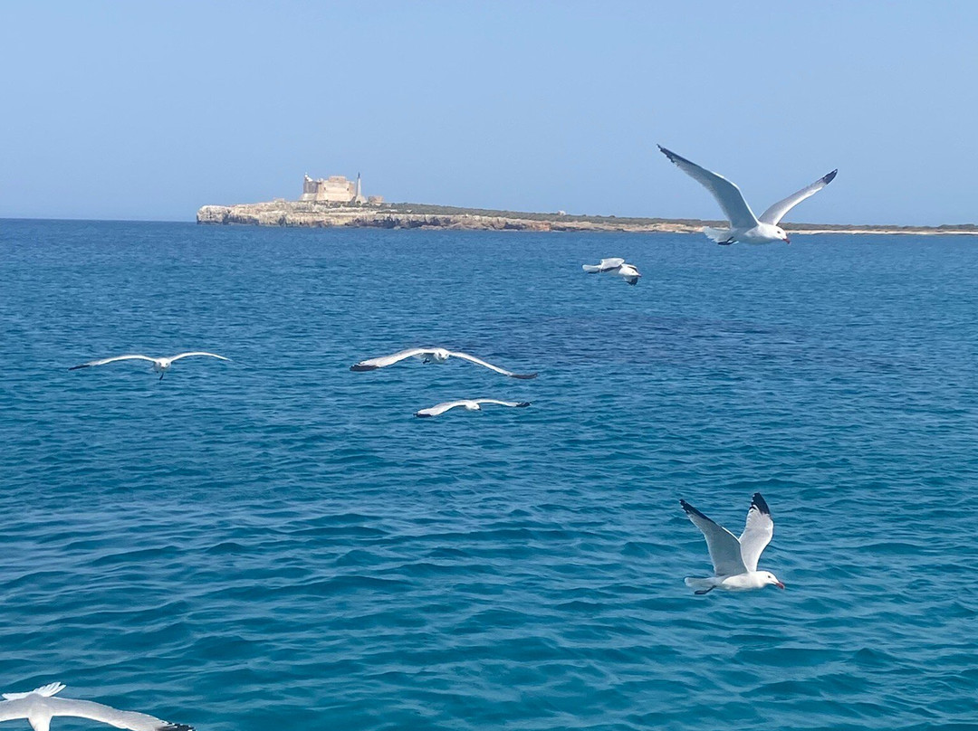 Nerea Escursioni By Furriando Marzamemi-Marzamemi必去景点