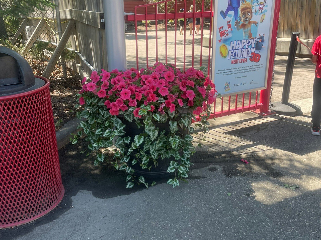 卡勒威游乐园-卡尔加里必去景点