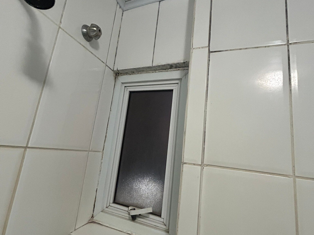 Tamareiras Park Hotel主图