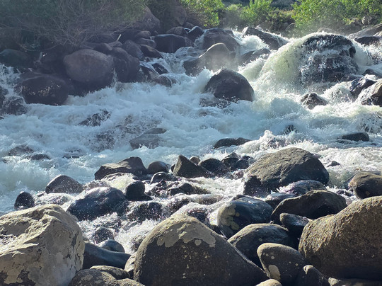 Shoshone Rose Casino & Hotel主图