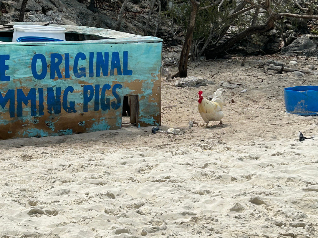 G. Sea Adventures-George Town必去景点