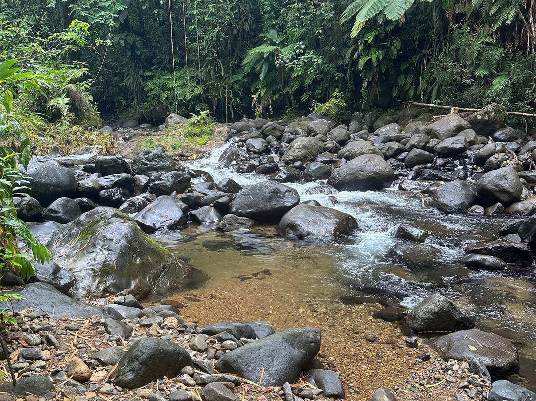 Rando A2Pas-Ducos必去景点