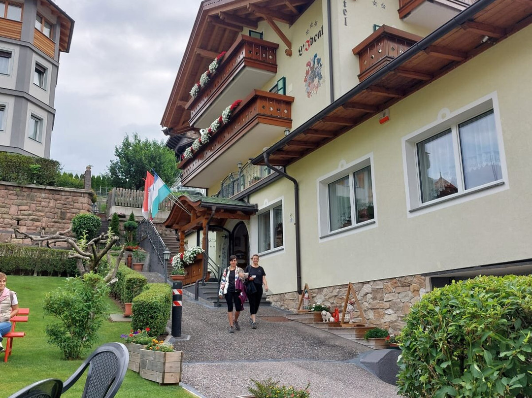 Hotel L'Ideale主图