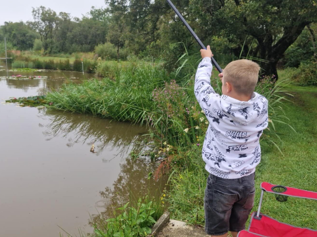 Yet-Y-Gors Campsite and Fishery Fishguard-Dwrbach必去景点