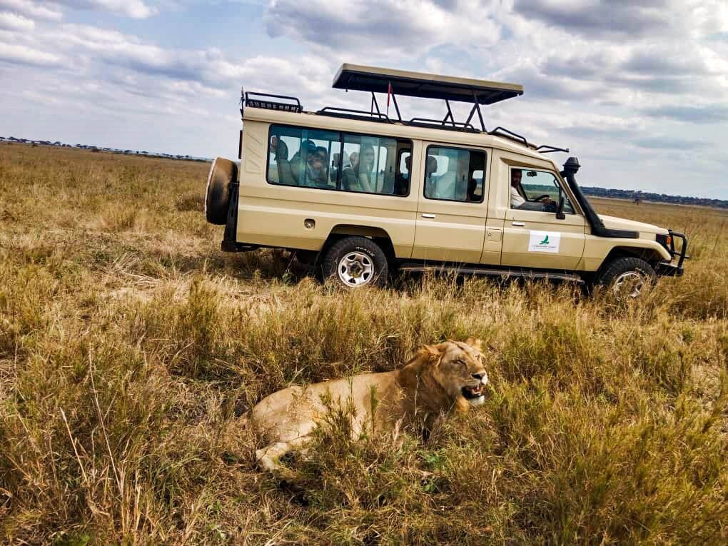 Livingstone Safari Tanzania-阿鲁沙必去景点