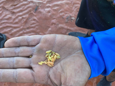 Narlijia Experiences Broome-布鲁姆必去景点