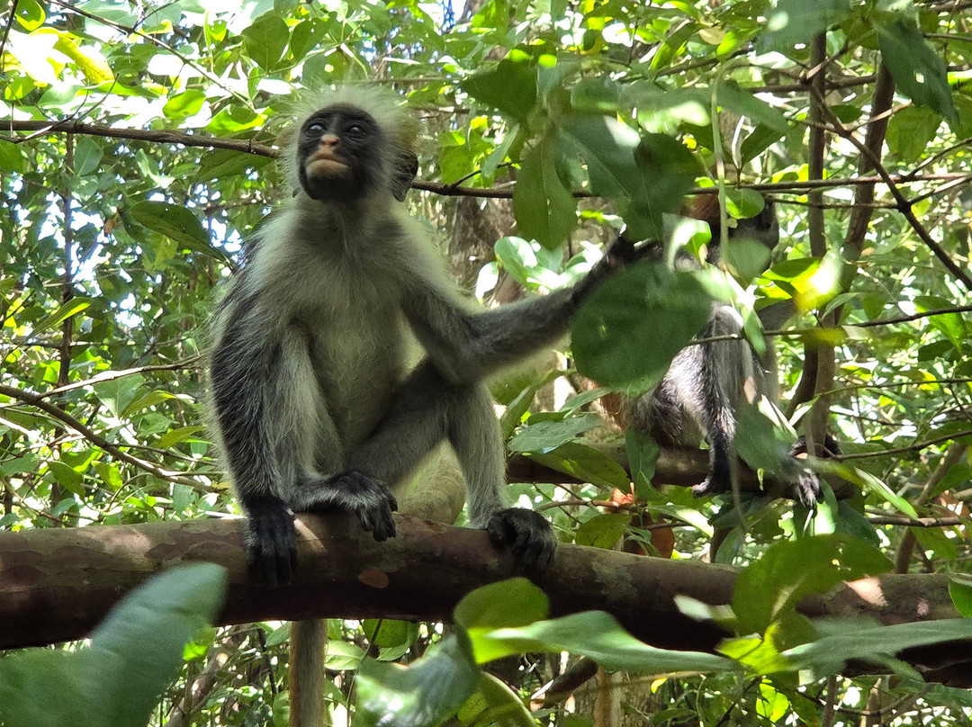 UROA SMILE TOURS-乌罗阿必去景点