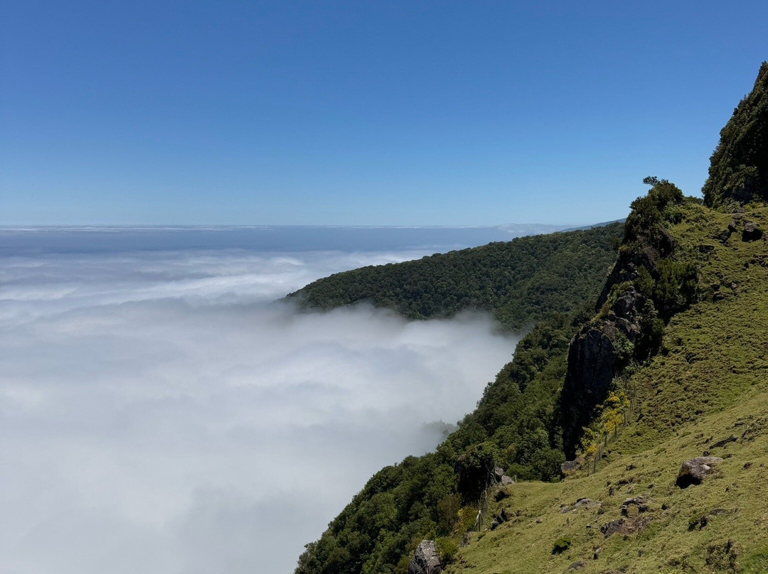 Vida Atlantica-马德拉群岛必去景点