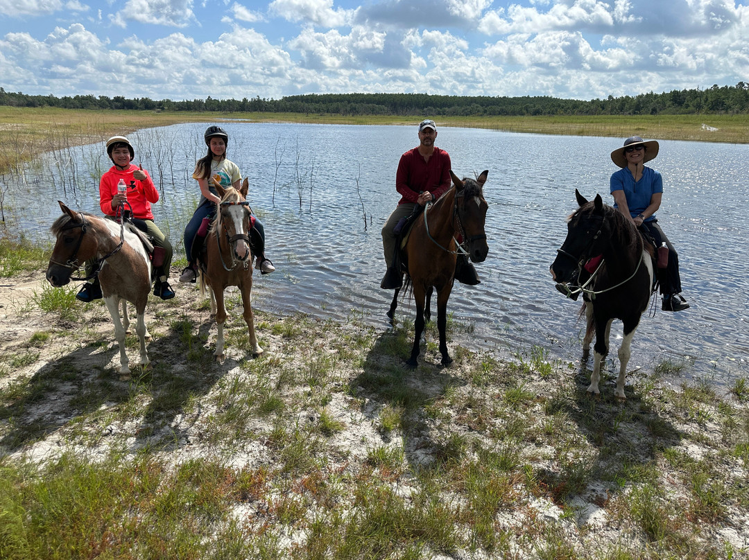 Sunshine Riding Trails - Day Tours-巴拿马城海滩必去景点