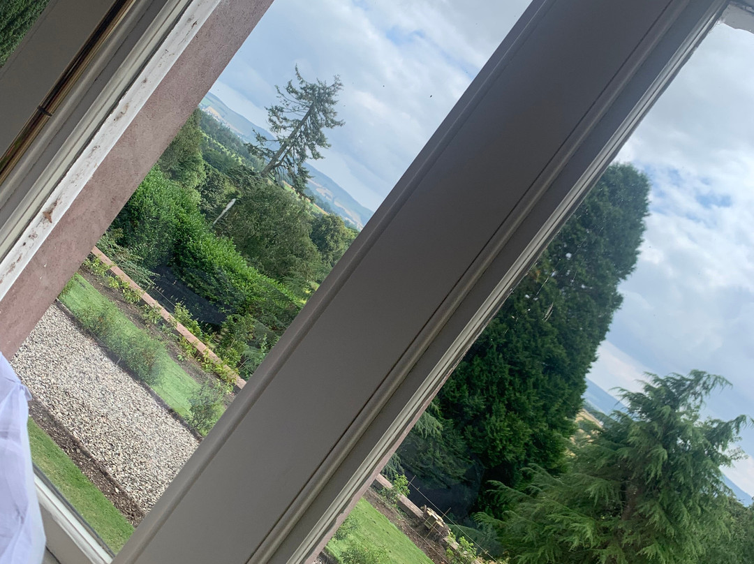 Lands of Loyal Hotel主图