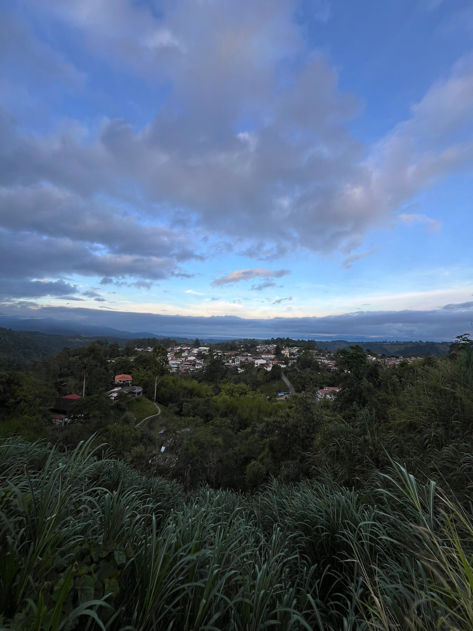 Hostal Finca Cardonales-官方