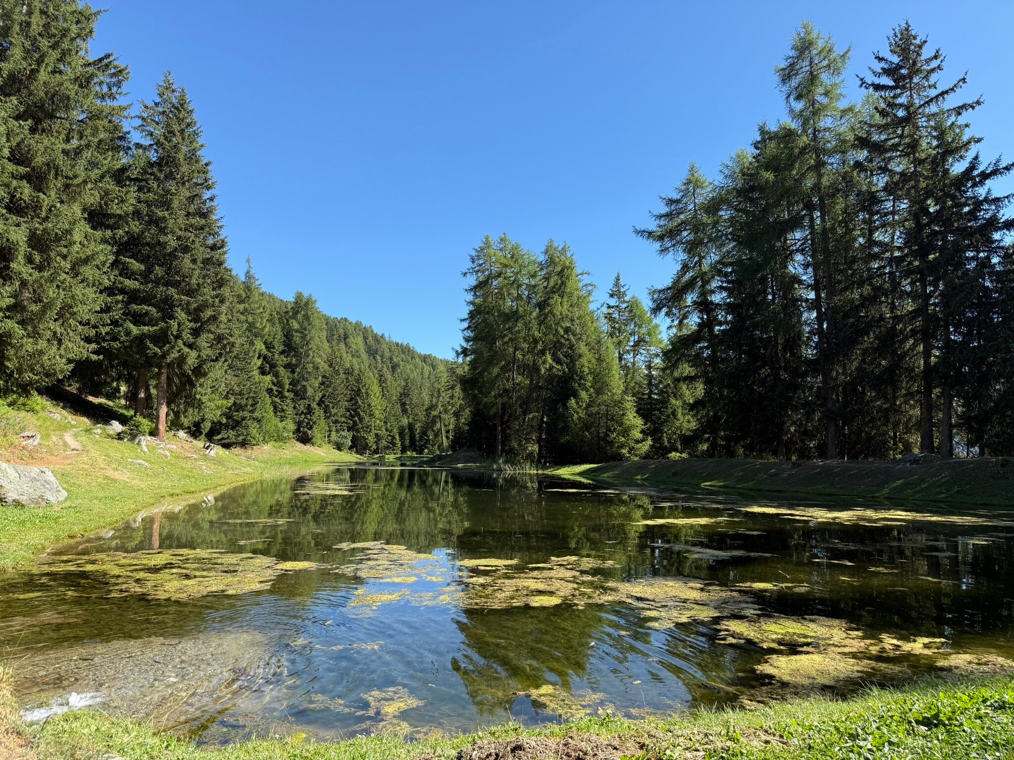 La Cure de Vernamiège-官方