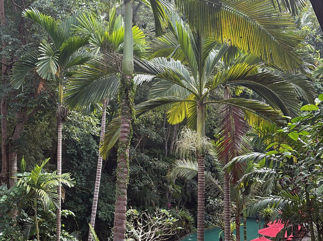 AnandaDara Ubud Resort & Spa