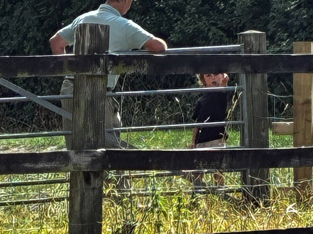 Court Farm Country Park-Banwell必去景点