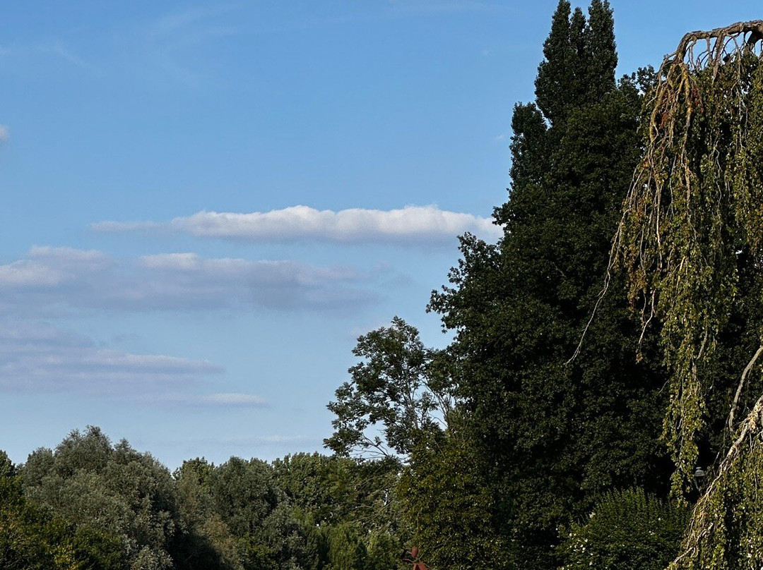 Minerva Boat Rental-根特必去景点