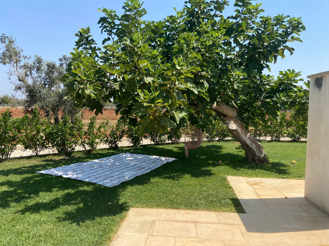 Tenuta Donna Giulia主图