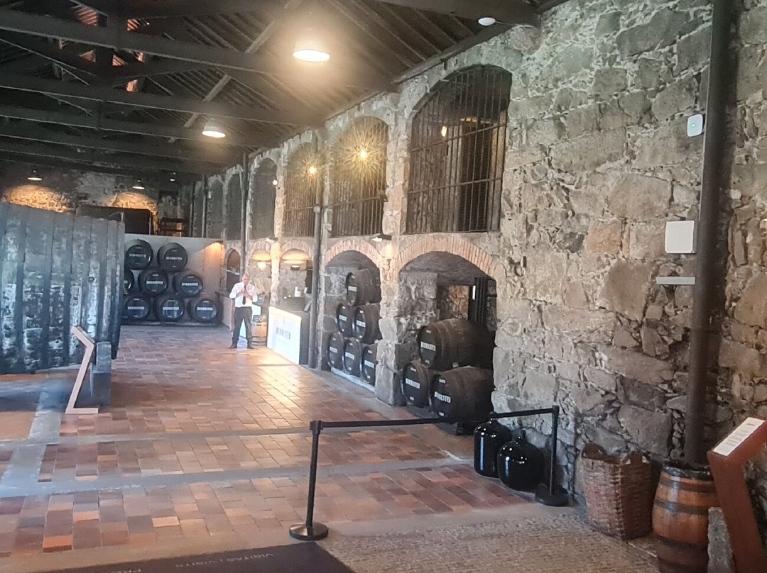 Burmester-加亚新城必去景点