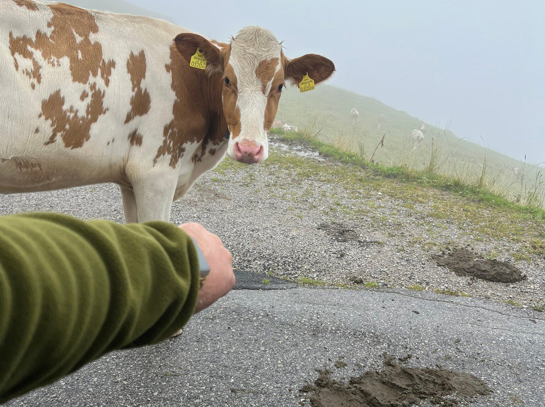 Murmelland Zillertal-Kaltenbach必去景点