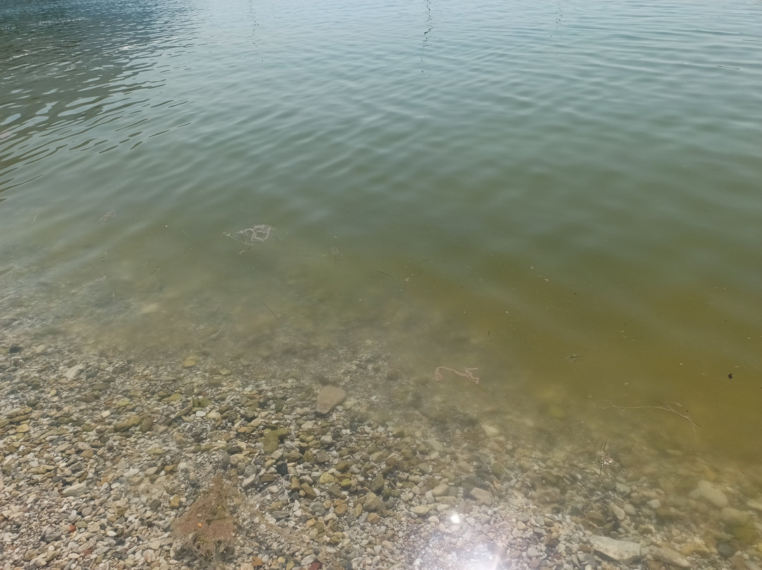 Akbuk Cove-穆拉必去景点