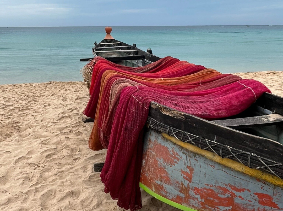 Voyento tours-科伦坡必去景点