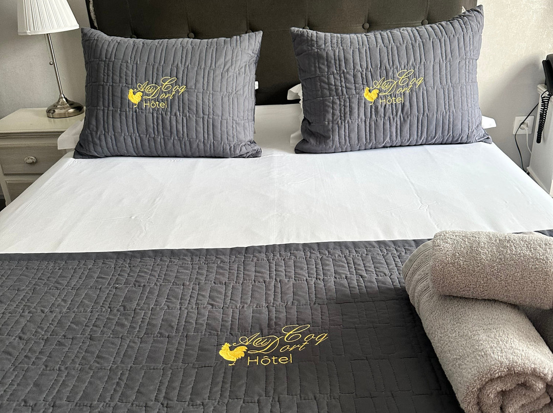Hotel Au Coq Dort主图