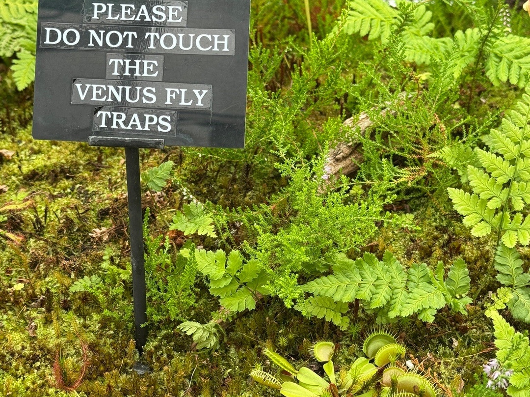 Duthie Park Winter Gardens-阿伯丁必去景点