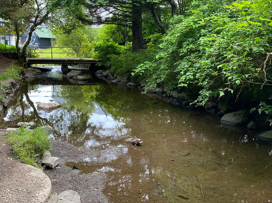 Viðarlundin Park-托沙文必去景点