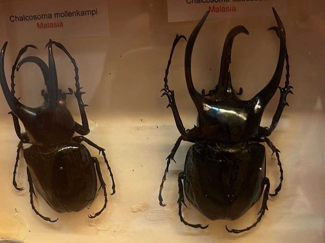 Binissues-Ferreries必去景点