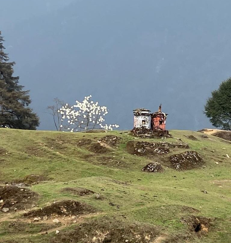 Limboo Tours & Travels-Yuksom必去景点