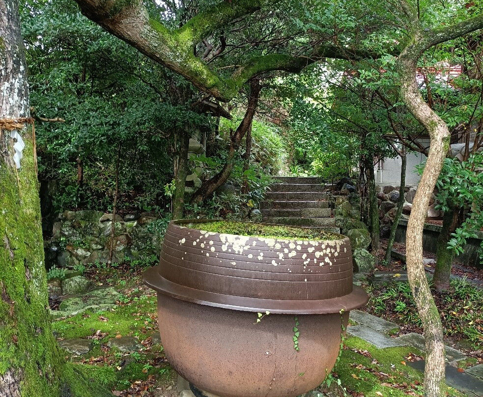Taga Shrine-宇和岛市必去景点