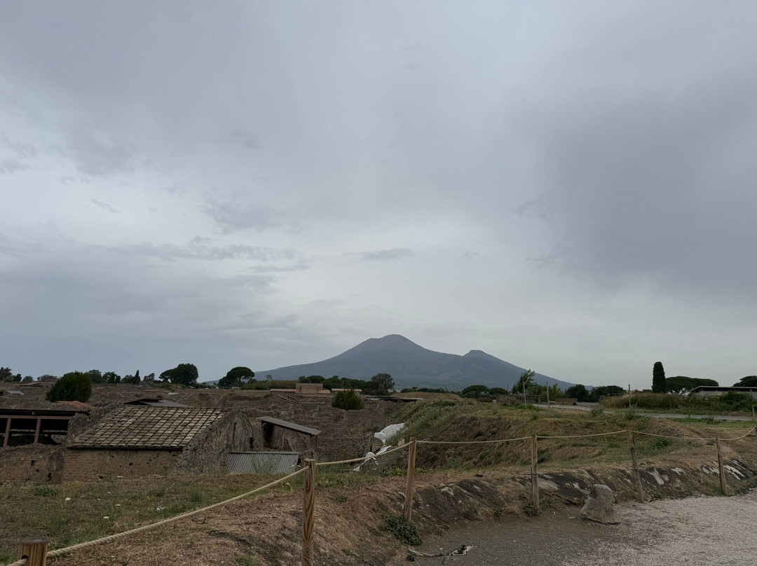 Top Excursion Sorrento-索伦托必去景点