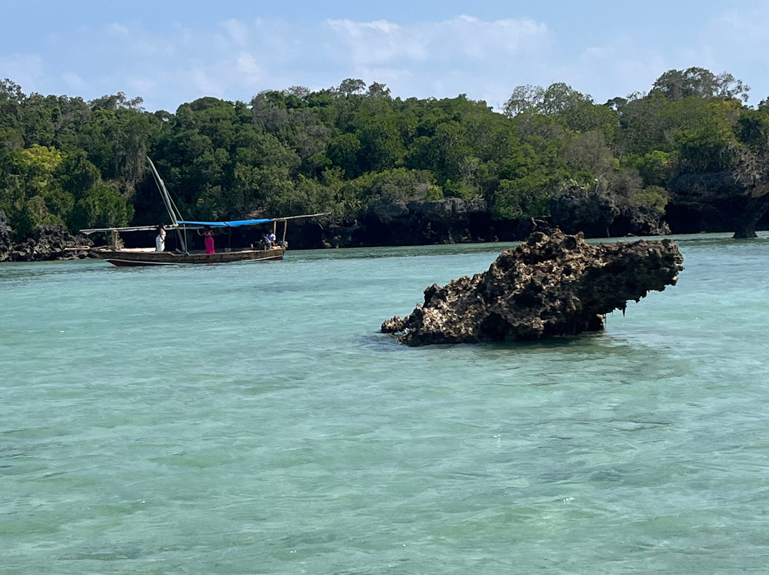 Madiba Tour Zanzibar & Safari-Matemwe必去景点
