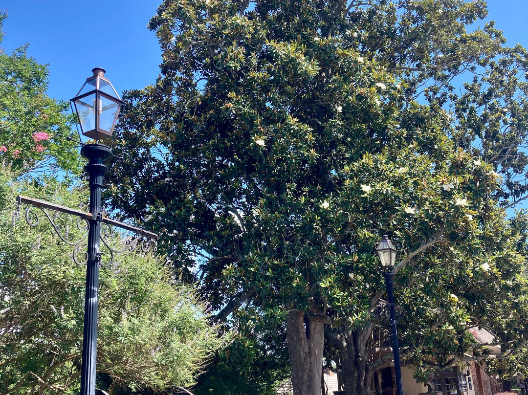 Historic District Shopping-纳基托什县必去景点