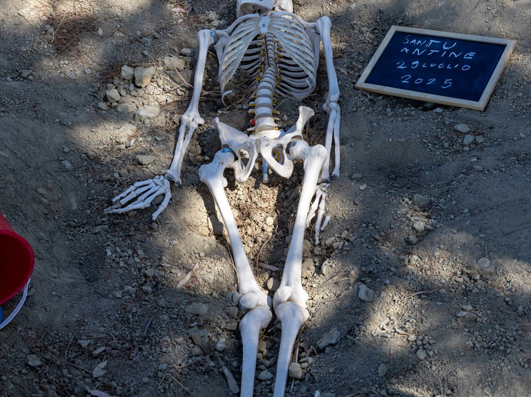 Museo Parc - Museo Paleontologico, Archeologico e Laboratorio didattico-Genoni必去景点