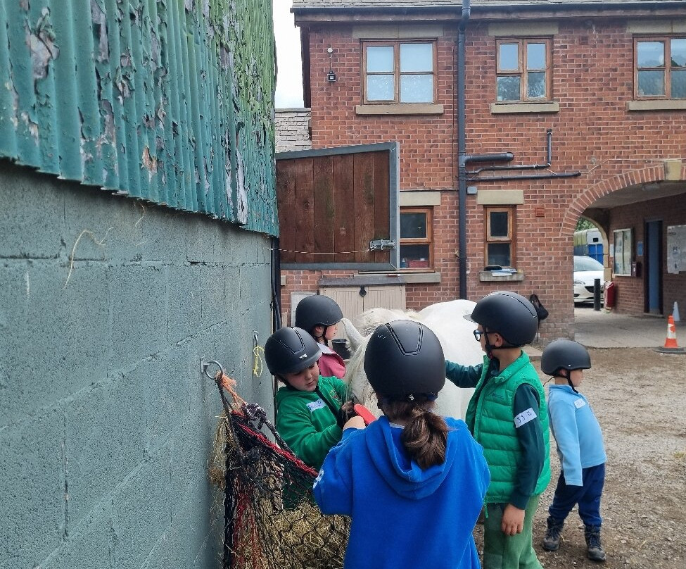 Bridlewood Equestrian Centre