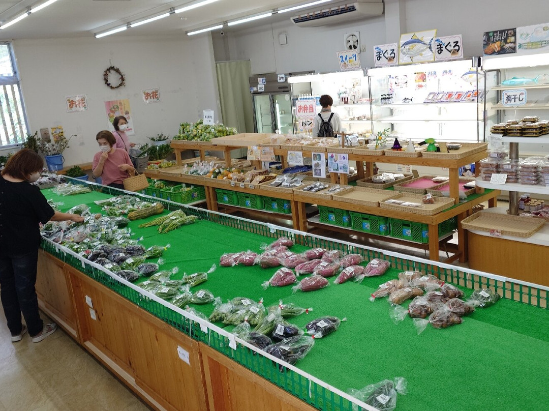 Nishiki no Yu Nachiekikoryu Center-那智胜浦町必去景点