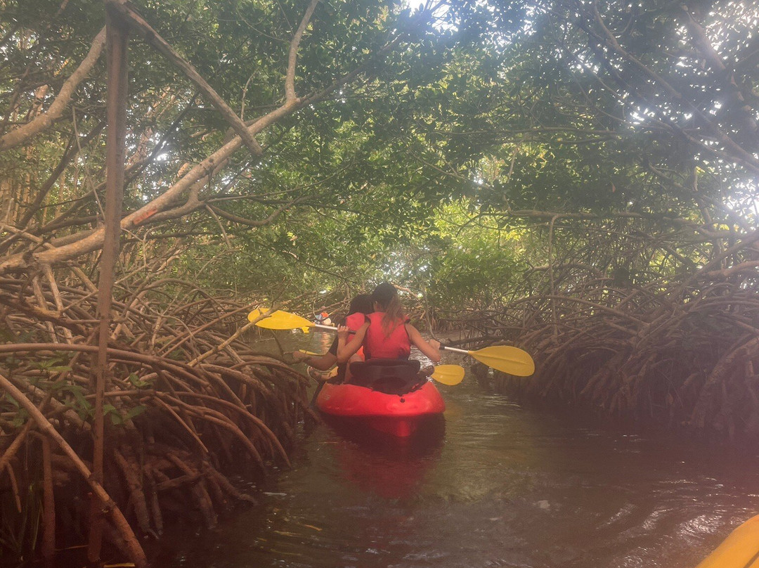Yalodé Kayak Canyon Bain De Forêt-瓜德罗普岛必去景点