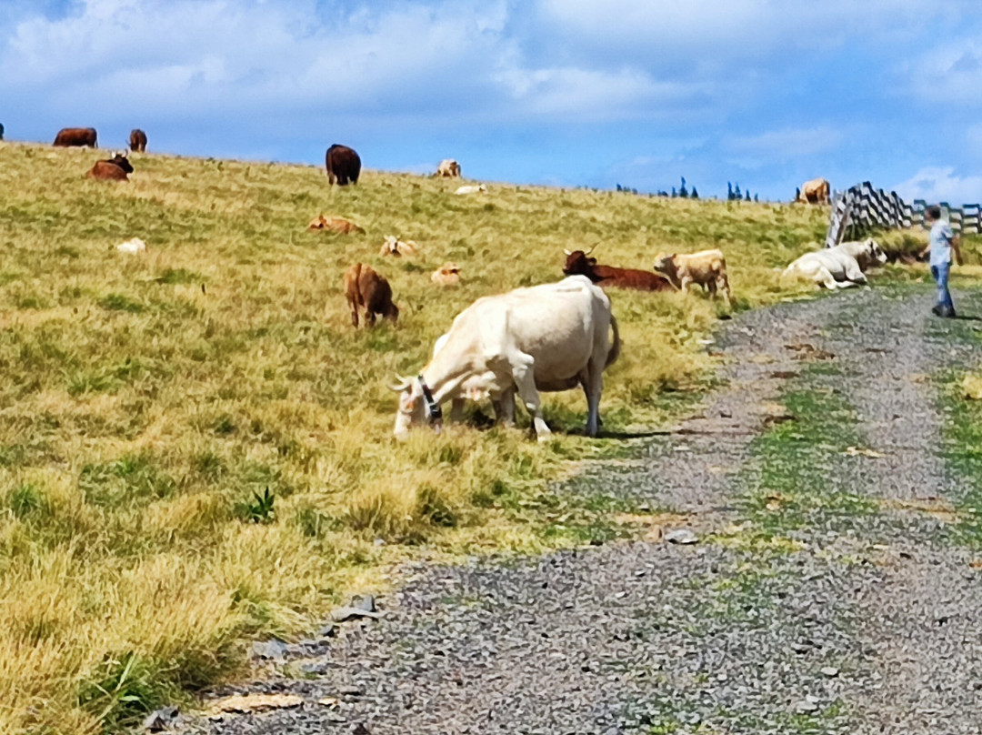 Hotel Des Bains Et Residences主图