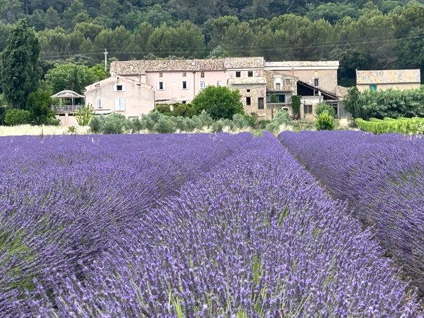 罗吉乡村别墅酒店-浴室