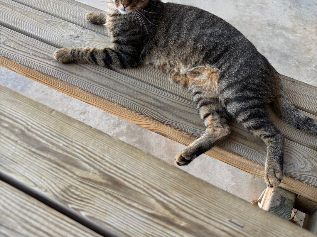 Deltacleta-代尔特布雷必去景点