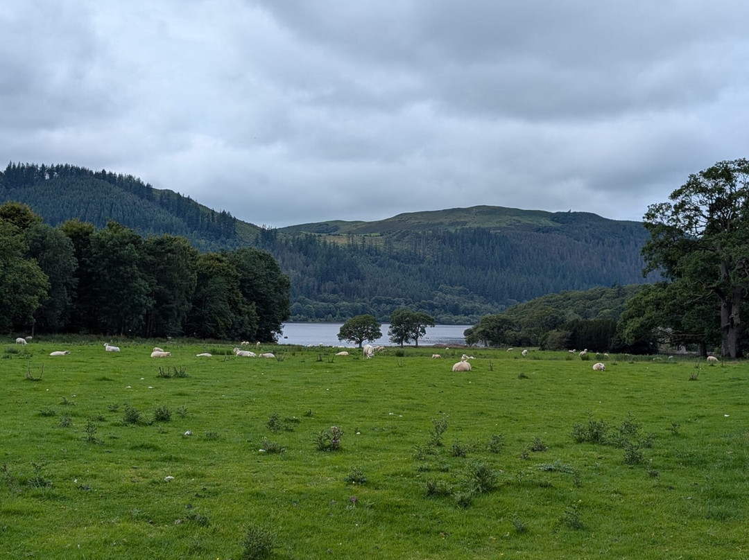 Mirehouse & Gardens-凯瑟克必去景点