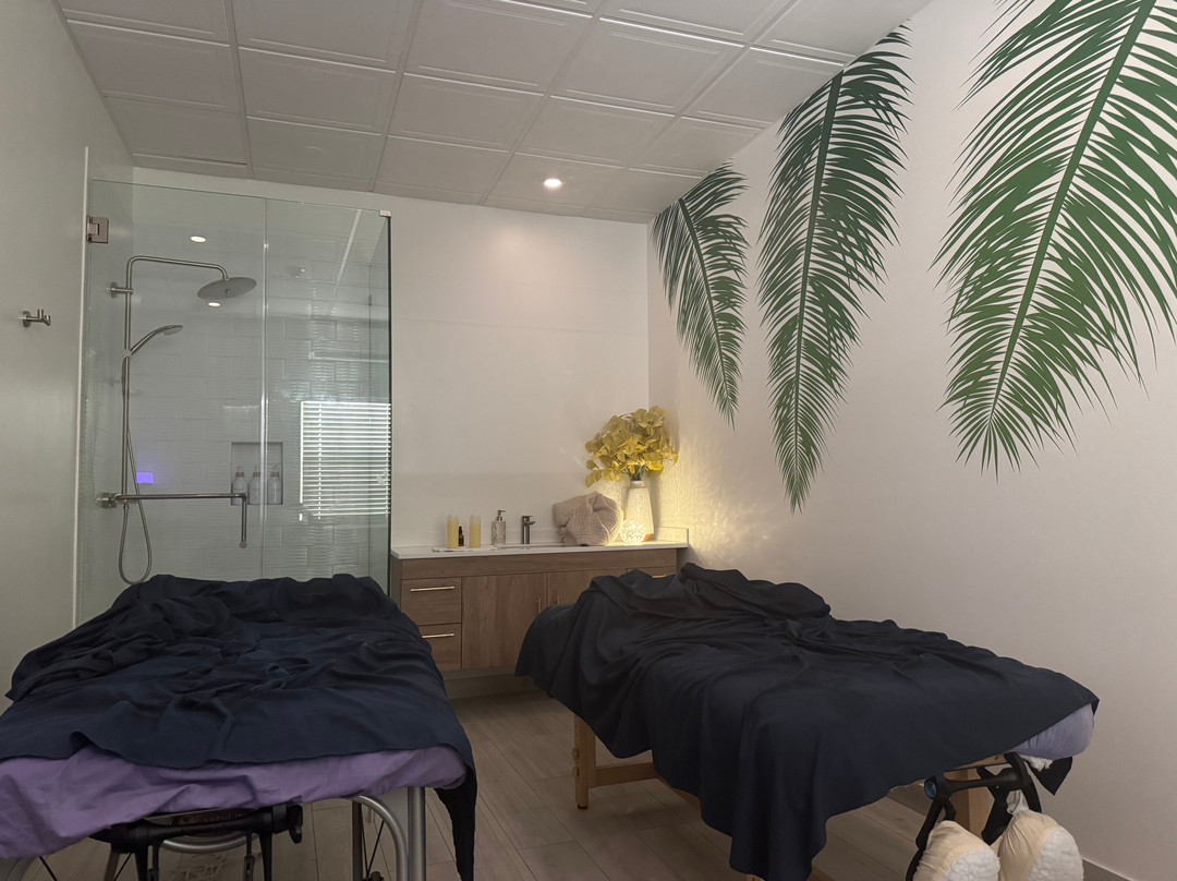 Spa Tropique-普罗维登西亚莱斯必去景点