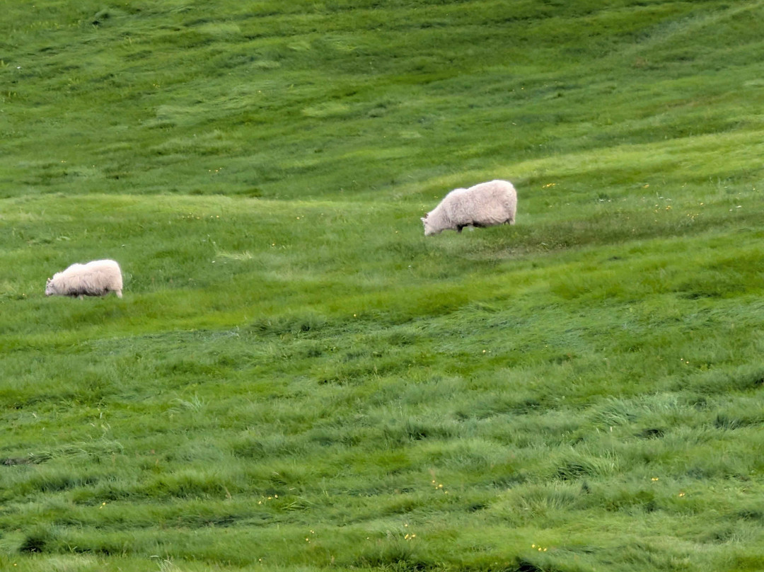 Myvatn Visitor Center-雷克雅里德必去景点