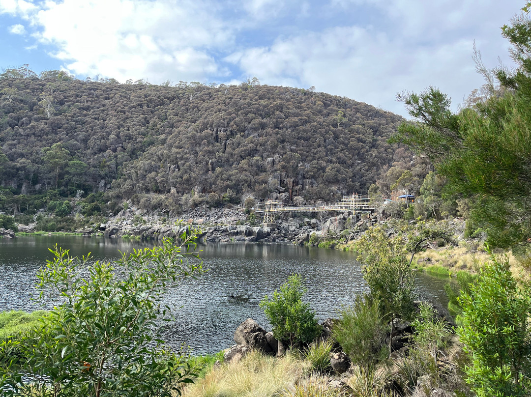 Alexandra Suspension Bridge-朗塞斯顿必去景点