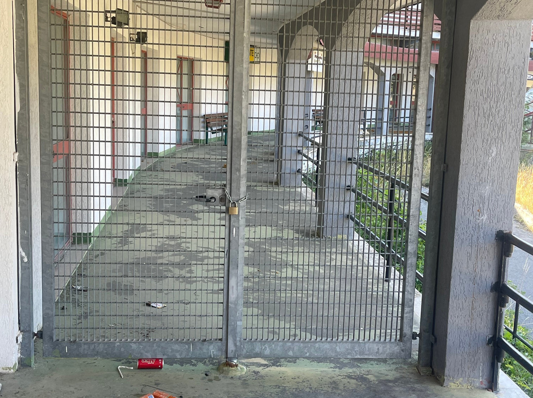 Delberg Palace Hotel主图