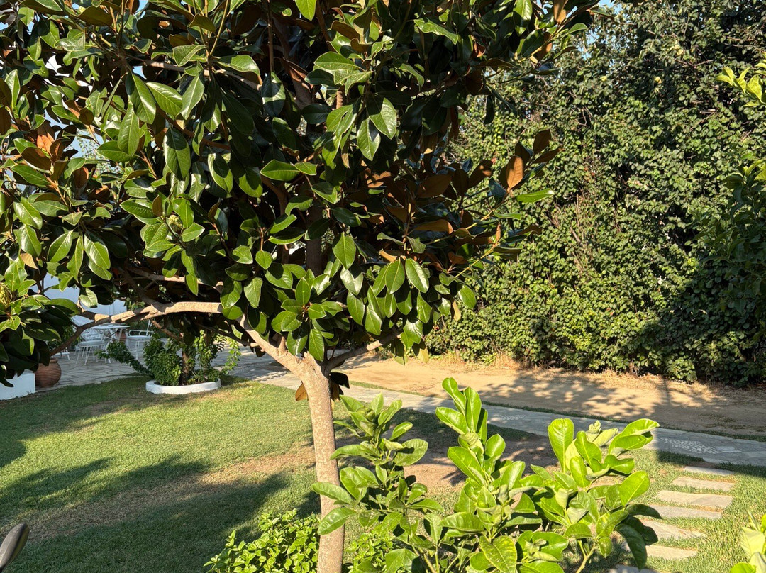 Paris Guest House主图